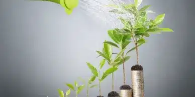 Business Growth Strategy Business Growth Strategy